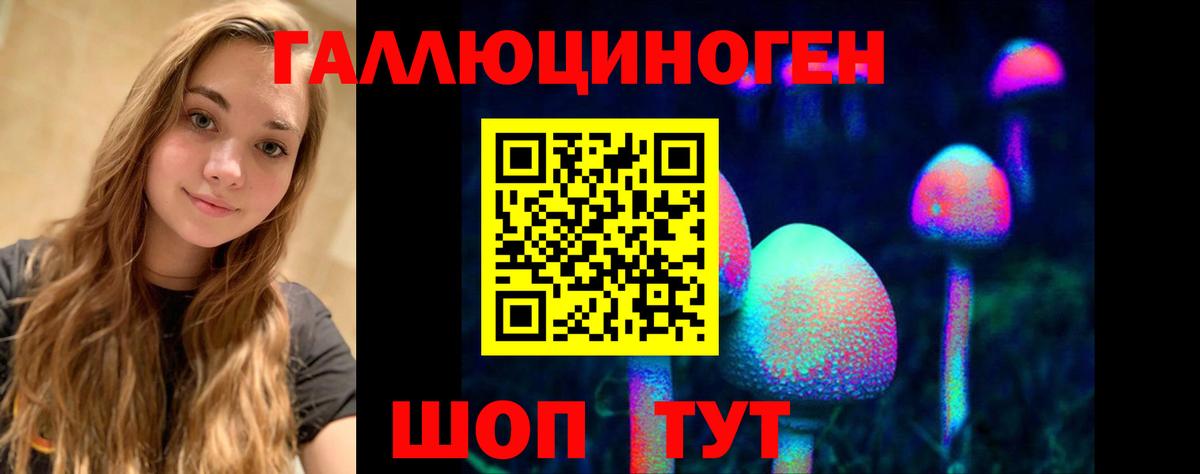 Мелеуз  как найти   Вход с VPN  Псилоцибиновые грибы GOLDEN TEACHER 